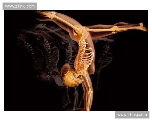 以运动姿态为核心探索人体机能美学与科学训练新路径发展实践体系